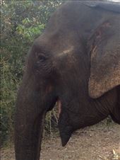 by a_and_a, Views[211]