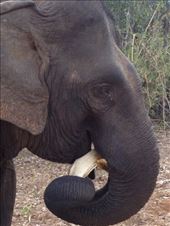 by a_and_a, Views[136]