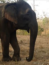 by a_and_a, Views[145]