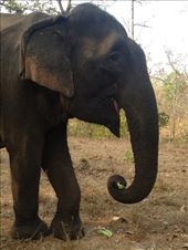 by a_and_a, Views[132]