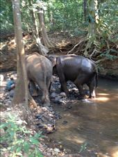 by a_and_a, Views[164]