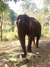 by a_and_a, Views[138]