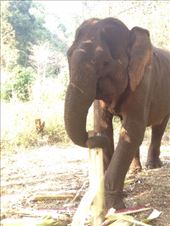 by a_and_a, Views[157]