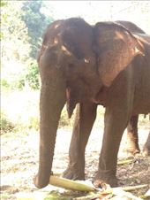 by a_and_a, Views[171]