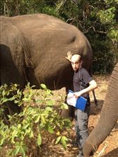 uh oh...: by a_and_a, Views[171]