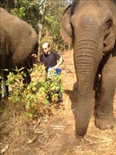 tight squeeze!: by a_and_a, Views[146]