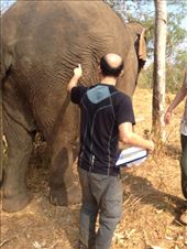 by a_and_a, Views[139]