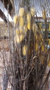 by a_and_a, Views[285]