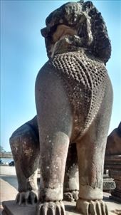 by a_and_a, Views[144]