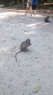 by a_and_a, Views[131]