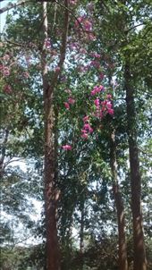 by a_and_a, Views[158]