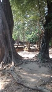 by a_and_a, Views[166]