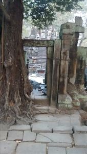 by a_and_a, Views[152]