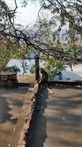 Phnom Sampeau, Battambang : by a_and_a, Views[153]