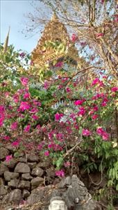 by a_and_a, Views[148]