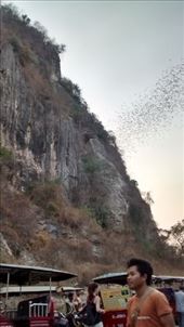 bats!!: by a_and_a, Views[148]