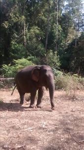 by a_and_a, Views[223]