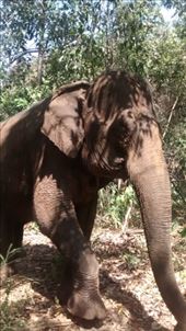 by a_and_a, Views[165]