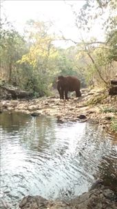 by a_and_a, Views[147]