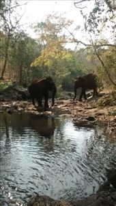 by a_and_a, Views[138]