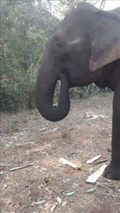 by a_and_a, Views[148]