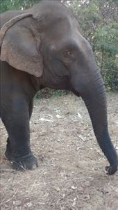 by a_and_a, Views[124]