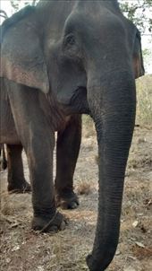 by a_and_a, Views[128]