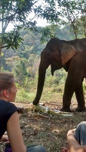 by a_and_a, Views[143]