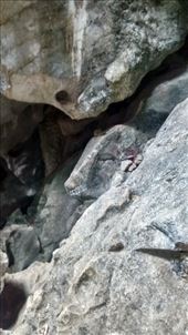 by a_and_a, Views[149]