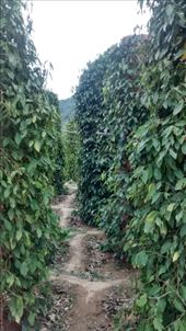 by a_and_a, Views[560]