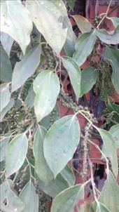 by a_and_a, Views[616]