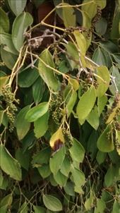 by a_and_a, Views[561]