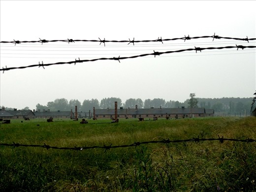 Auschwitz-Birkenau Camp II, Oświęcim, Poland.

How do we represent death and absence? Is it even possible? Should we try or resign ourselves to our inability to photograph what is no longer here? Visiting the camps in Poland stirred up contradictory feelings in me. The fact that none of my family had perished in the camps made me feel like an intruder there, on the other hand though, I also felt a duty to bear witness. My position behind the barbed wire represents my attempt at bearing witness to the Holocaust while acknowledging my position as an outsider.

It is not easy to document the lives of people; it is even harder to document their absence. This is a (hi)story of absence that I tried to tell through this series.
