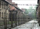 Auschwitz-Birkenau Camp I, Oświęcim, Poland. 

By some fate of the calendar, I visited Auschwitz on a grey rainy day – as if the place was not depressing and emotional enough… 
: by a_m, Views[1105]