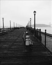 Pier 7 is almost constantly empty in the mornings, especially during cold and foggy mornings. This makes it a wonderful place to forget reality and become engulfed in the sound of waves and the occasional seagull flying overhead. 

(Taken with smartphone): by aakma, Views[586]