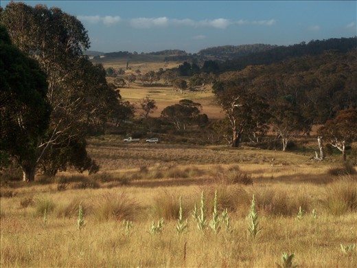 The green and gold of olden times. 
Miles away from the nearest road, a dirt track from Nimmitabel gradually disappears into nothing and leads us here. Our home for Christmas, if only it could be forever.  
I look at this vista and reminisce about the Australia before my time, the Australia in books of old. The colours of the past, here in the present. 