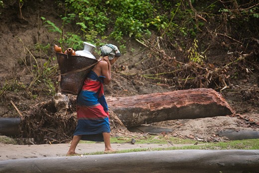 Like old Monolian sect, Mru follows the matriarch policy.