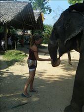 by aandjadventures, Views[229]