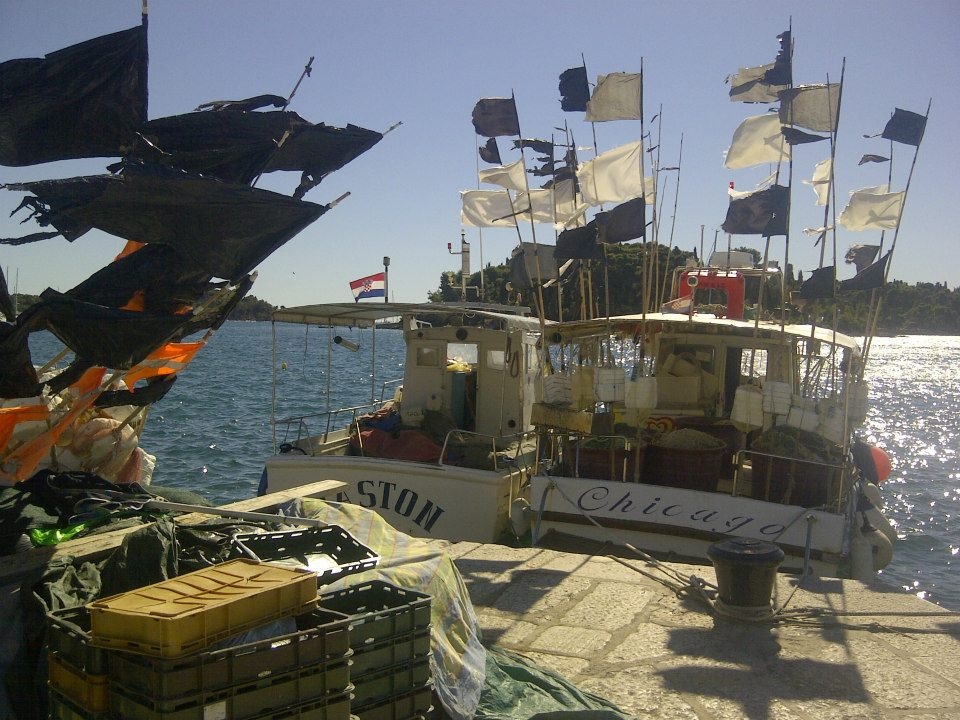 Fisherman boats. The flags were the first to draw my attention to these tow fisherman boats. I never found out what they meant.