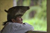 5. Jorge Santi, the tribal leader and Shaman of Kichwa people in the Pastaza region of Ecuador finds a moment alone to reflect on the political future of his region.  This marks the end of a long day of political promises and final votes. His headdress is made from the skin of a peccary head. When asked what it means to him, I was told that after taking part in a spiritual ritual involving the ingestion of a powerful psychotropic, Ayahuasca, he had visions of a sounder of Peccaries foraging in the valley below. The following day he and his hunters slaughtered some of the herd and now the taxidermied skin serves as a symbol of he and his peoples connection with the nature that they have depended on for over 10,000 years. To me, he represents archaic balance cornered by the fleeting-but-permanent change of the new world. : by aartfielder, Views[942]