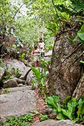 Members of the Koguis Indigenous Group head down to the seaside to collect shells which will be powdered and chewed with coca leaves that helps activate the alkaloids of the plant.: by ab1kenobe, Views[582]