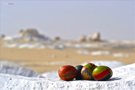 we decided to color eggs as tradition in Egypt since thousands of years ago  