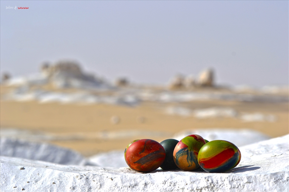 we decided to color eggs as tradition in Egypt since thousands of years ago  