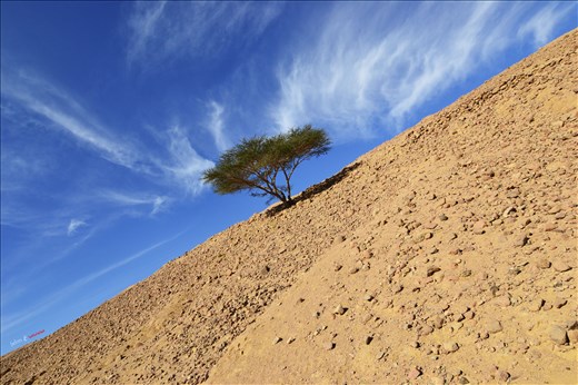 not only human breath! 