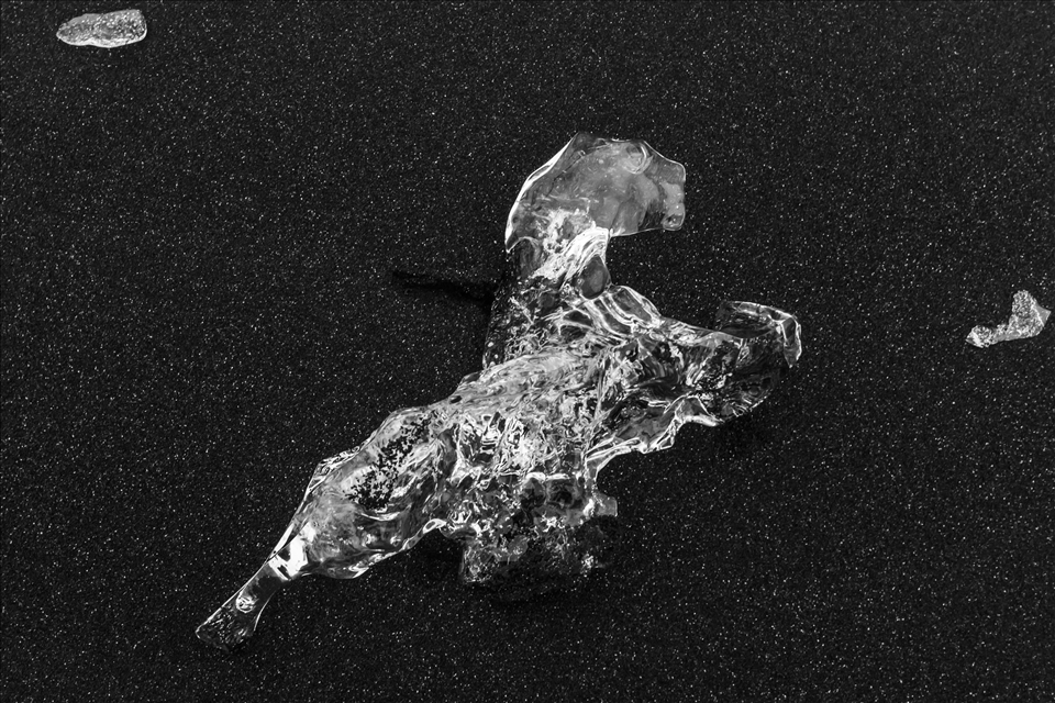 Now You See Me, Now You Don't - I was walking on the ice beach at Jokulsarlon when I spotted and took some pictures of this 
