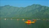 Heart of the city - Dal lake.  Mostly frozen for the rest of the year, surrounded by Great Himalayan Mountain range,Yellow Boat is Known as 'Shikara'.: by abhinavdubey77, Views[799]