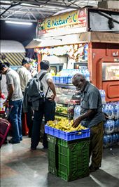  Then there was this fledgling fruit vendor who set his shop next to this other big railway stall. Most passengers chose the bigger and fancier shop for their snacking needs yet this old yet enthusiastic fruit vendor never lost any hope trying to attract customers. Although almost nobody in that one hour bought anything from him, I never saw him accept defeat to this big shop behind him. I later bought a dozen of his bananas. : by abinayanp, Views[287]