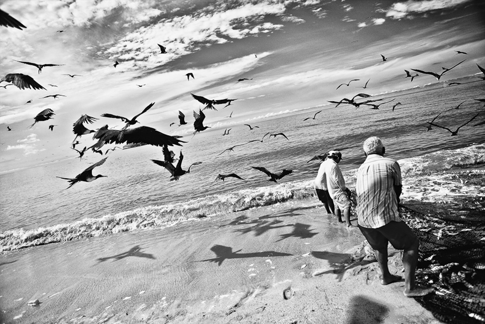7h00: Fishermen pulling out the net plenty of fish.  The birds arrive in outrageous number to try to pick their pray while the fishermen put the net out of the water.