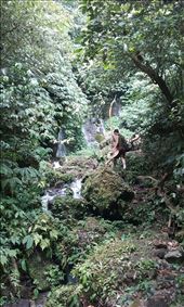 blazing a trail up a crevice in waterfall valley: by aceite4, Views[335]