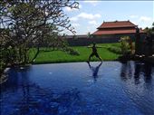 I just couldn't stop doing yoga (warrior 1 pose) (with very nice pool): by aceite4, Views[352]